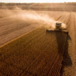 Aerial image of combine harvesting soybeans at sunset in a field in the Midwest United States.