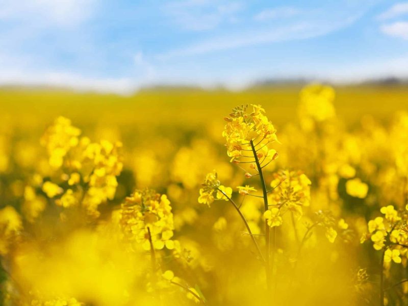 AdobeStock_350304888-scaled