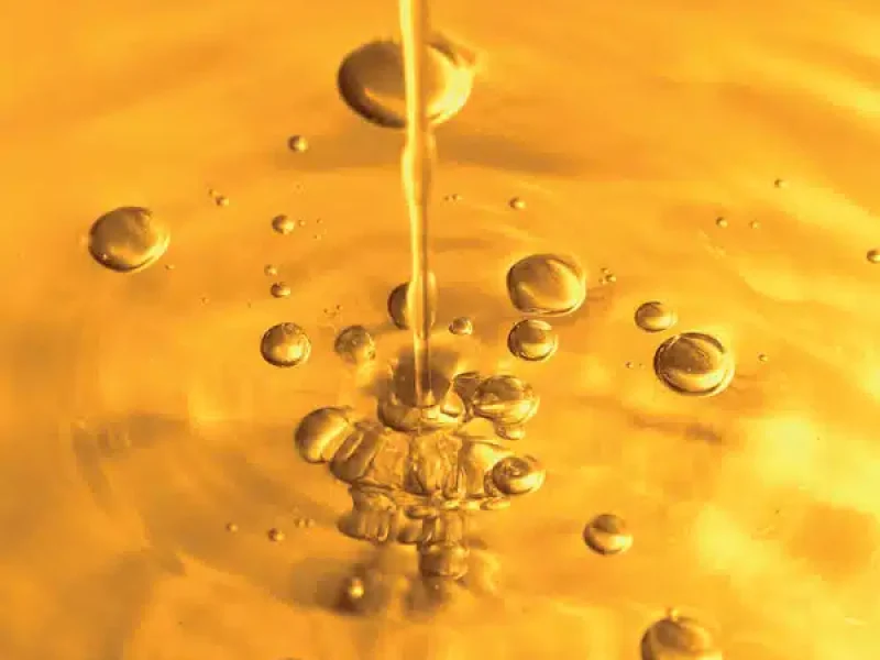 Oil Plus Ölreiche sorte