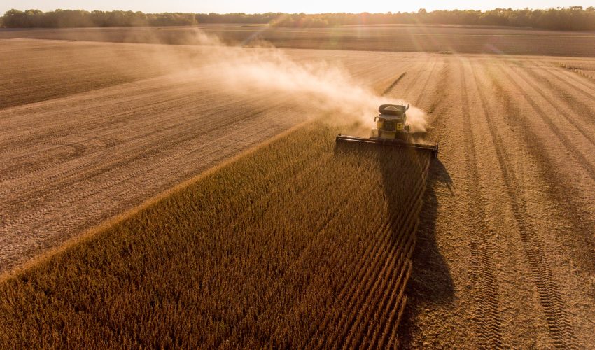 Aerial image of combine harvesting soybeans at sunset in a field in the Midwest United States.